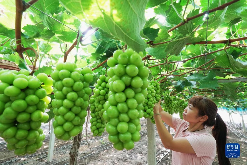188金宝搏网址多少